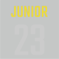 Text for Sports Jerseys